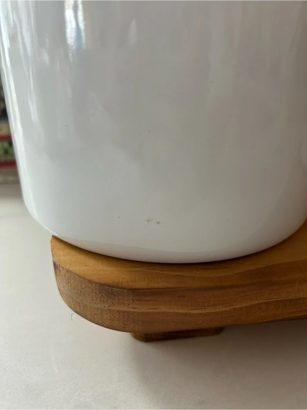 Vintage GMI Fruit Kitchen Canister Set of 2 Metal Storage Containers